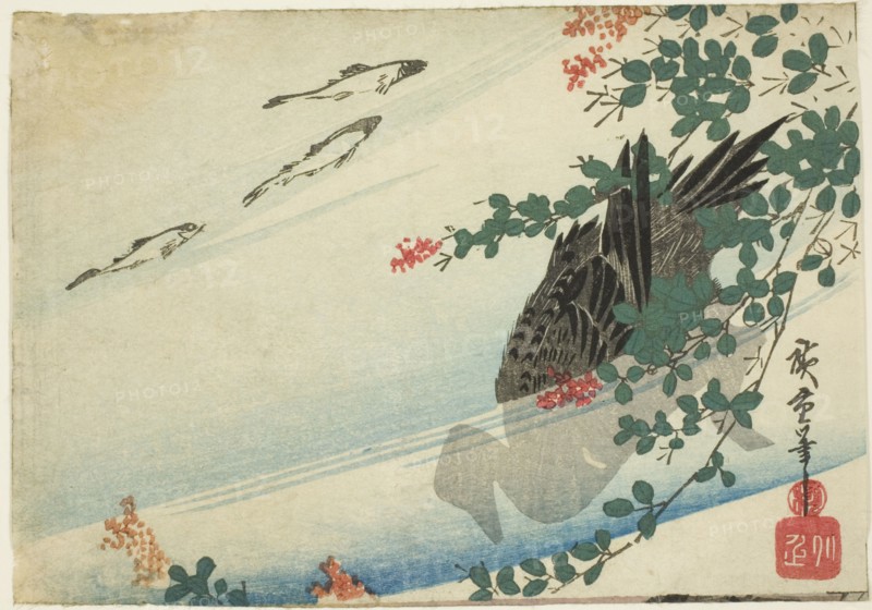 Trout, duck, and bush clover, c. 1840.