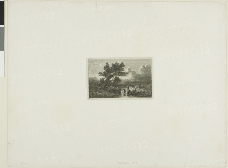 Alpine Landscape, n.d.