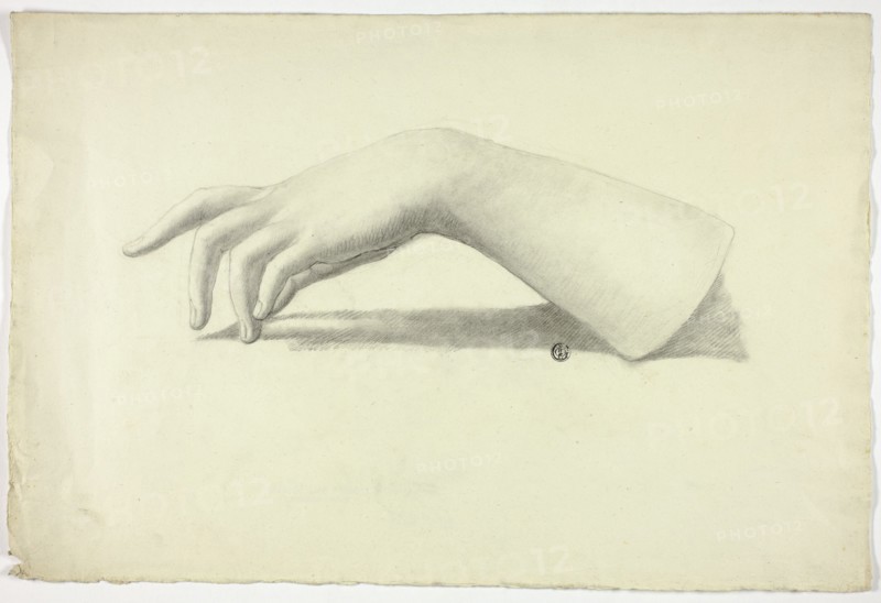 Left Forearm and Hand, n.d.
