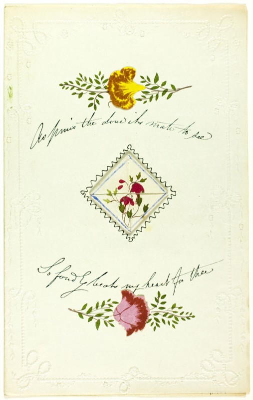 As Pines the Dove It's Mate to See (valentine), c. 1850.