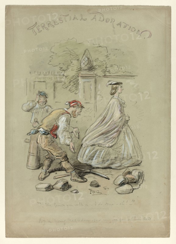 Terrestrial Adoration, n.d.