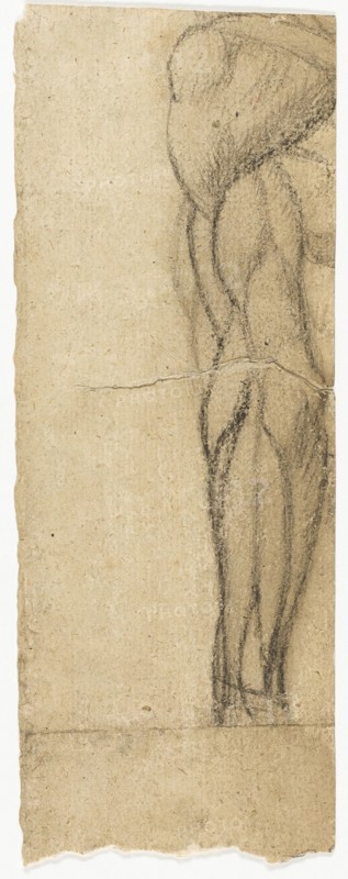Studies of Nudes, n.d.