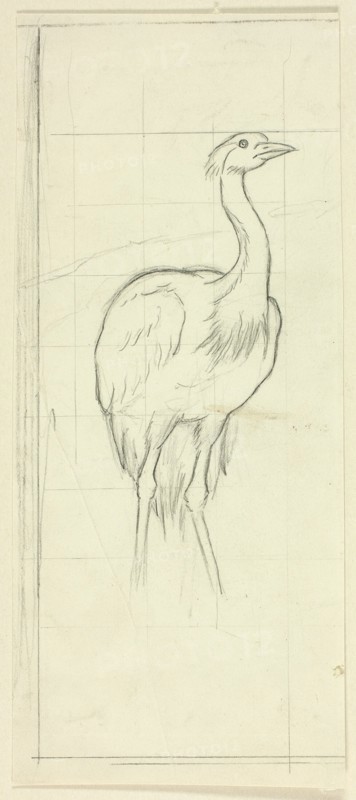 Standing Bird, n.d.