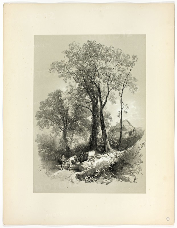 Shipley Bridge, Devon, from Picturesque Selections, 1859.