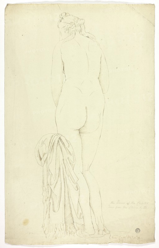Capitoline Venus, 1774.