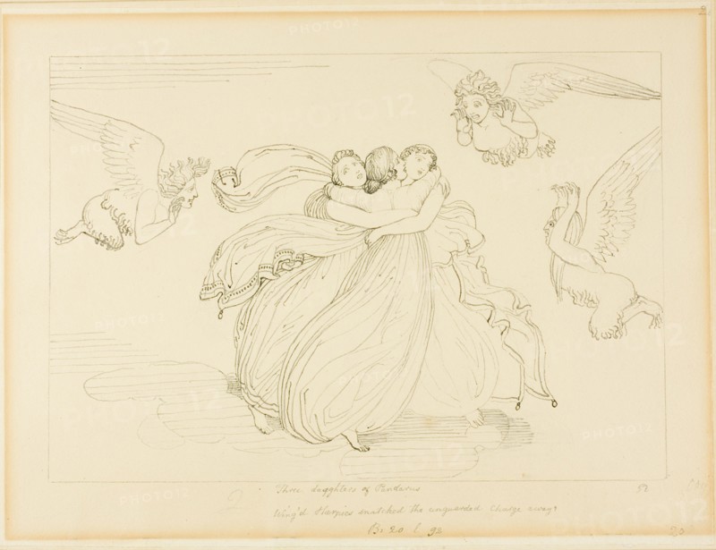The Harpies and the Daughters of Pandarus, n.d.