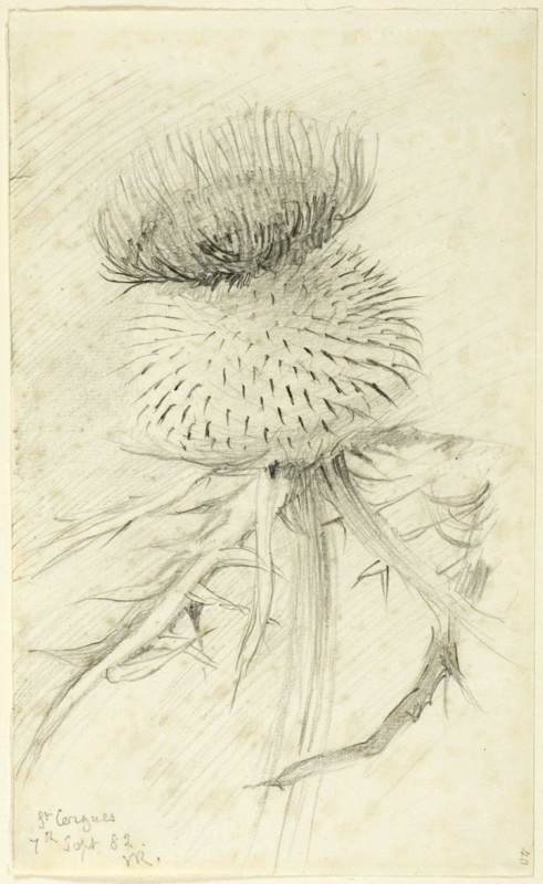 St. Cergues, 1882.