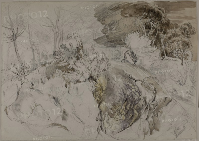 Shrubs and Trees in Rocky Landscape, c. 1845.
