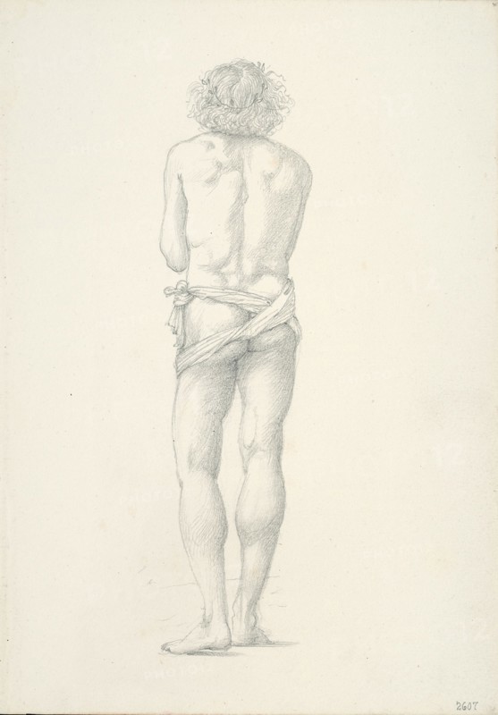 Back View of Standing Male Nude, c. 1873-77.