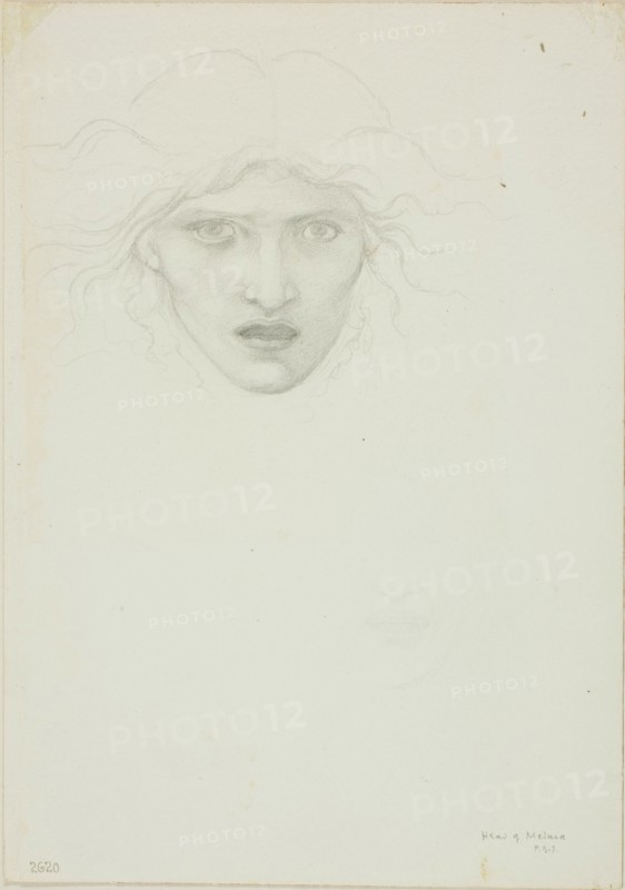 Study for Rondanini Medusa, c. 1873-77.