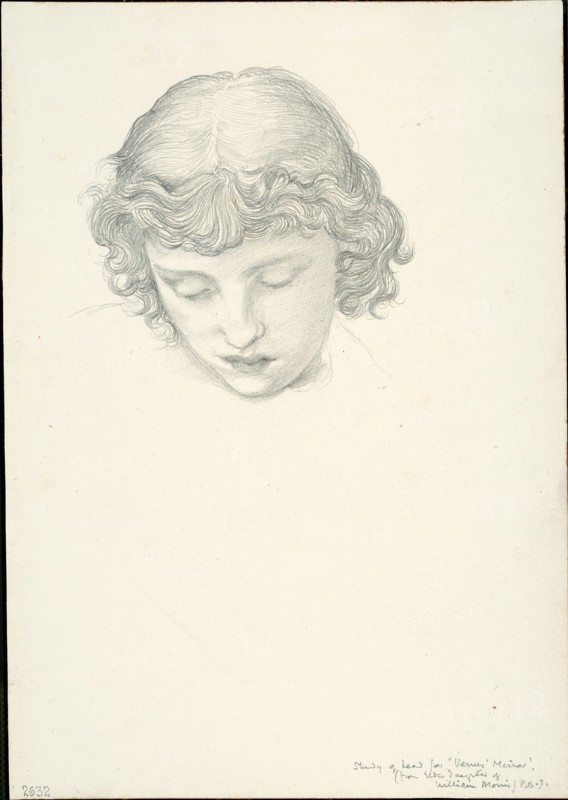 Study for Mirror of Venus: Head, c. 1873-77.