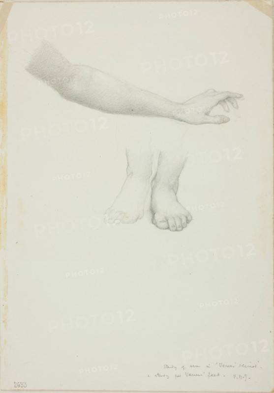 Arm and Feet, study for Mirror of Venus, c. 1873-77.