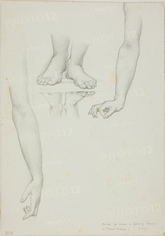 Study for Mirror of Venus: Arms and Feet of Venus, c. 1873-77.