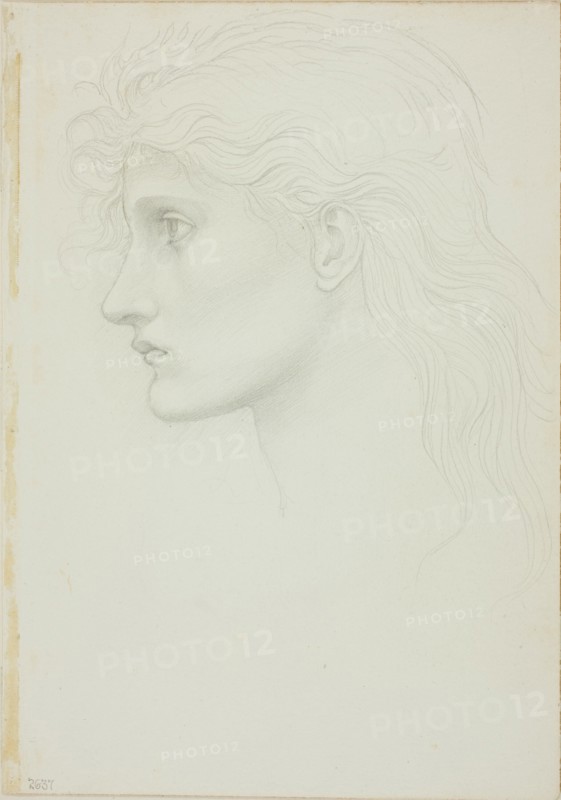 Head of Girl Facing Left, c. 1873-77.