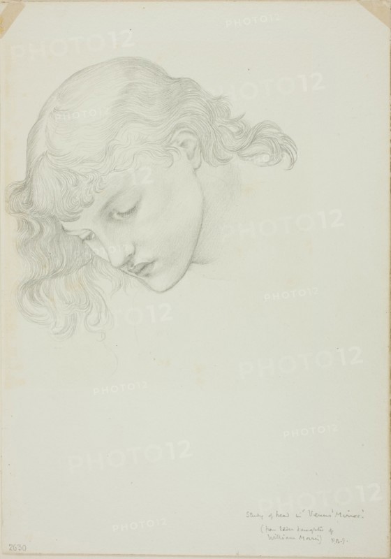 Head, Study for Mirror of Venus, c. 1873-77.