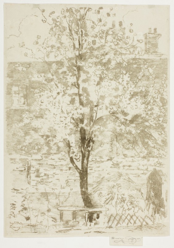Spring, 1906.