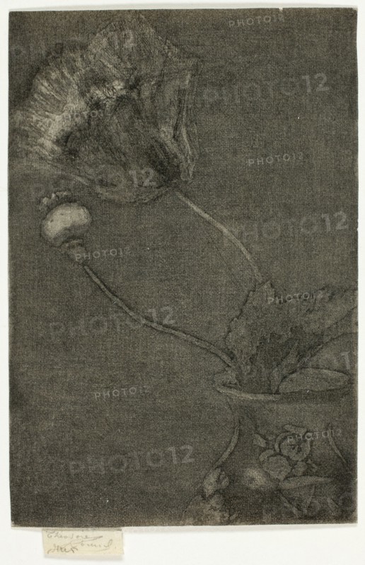 Poppy in a Vase, 1890-95.