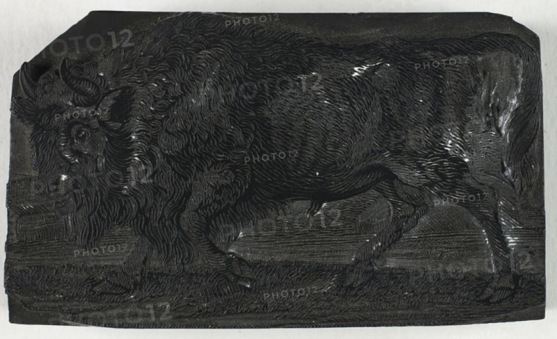 Woodblock for The Urus or Wild Bull, from A General History of Quadrupeds, c. 1790.