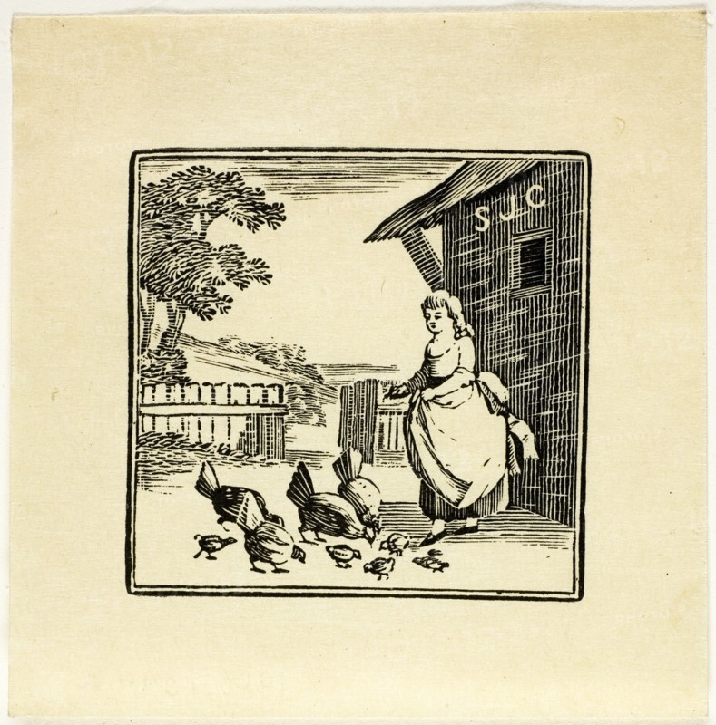 Book Illustration, n.d.