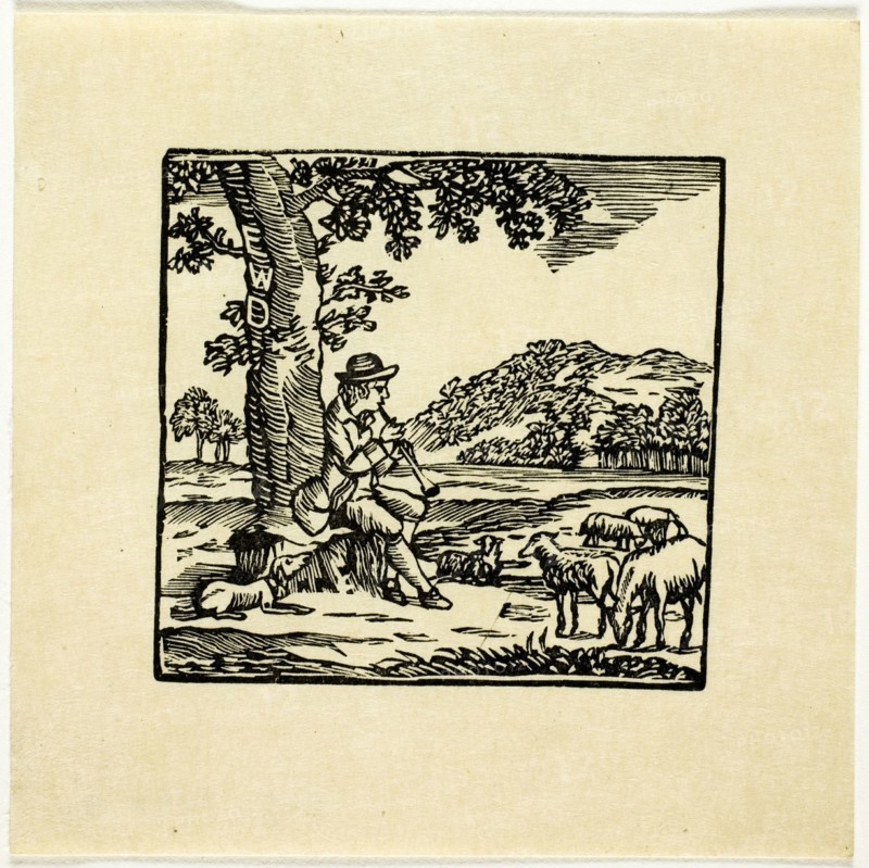 Book Illustration, n.d.