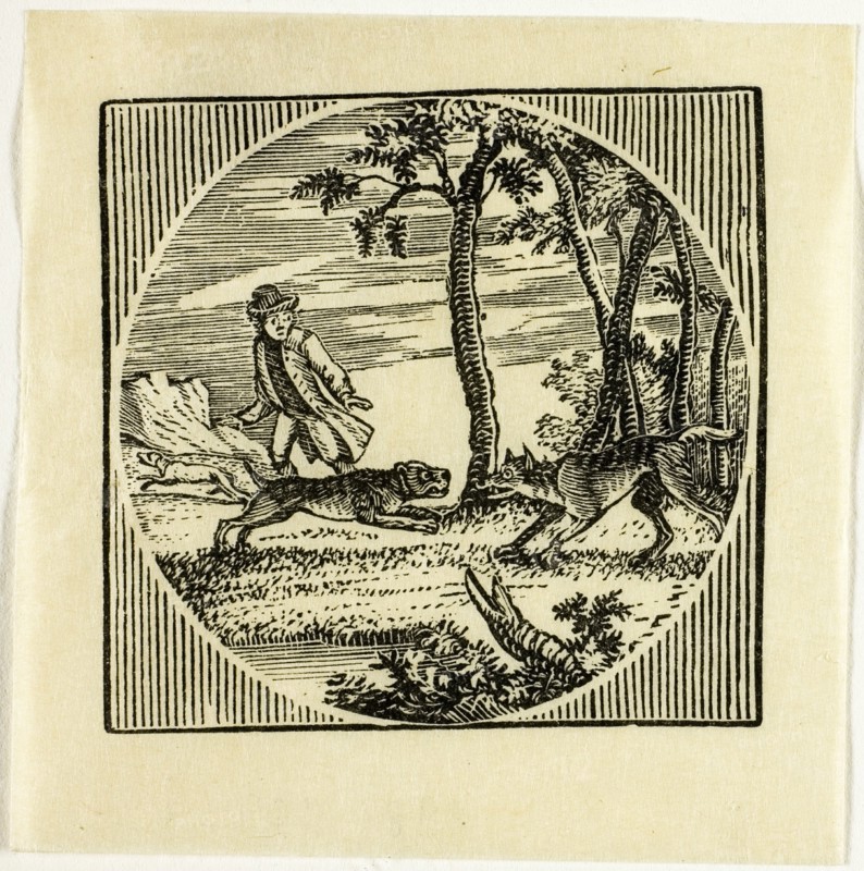 Book Illustration, n.d.