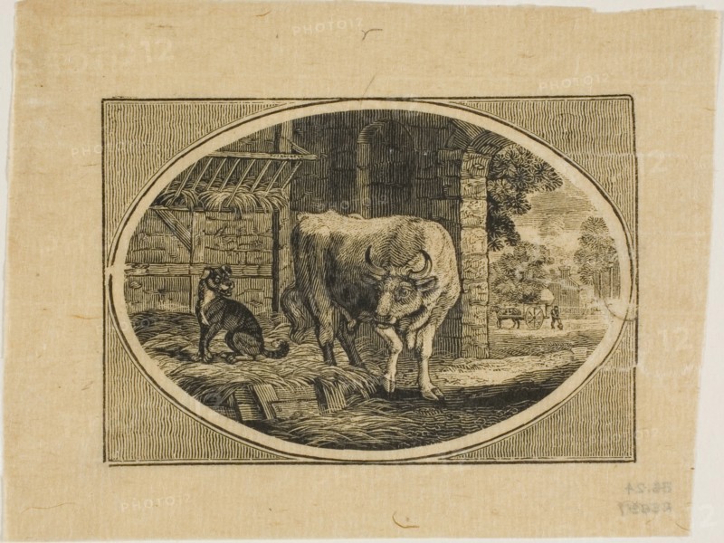 Fable, n.d.