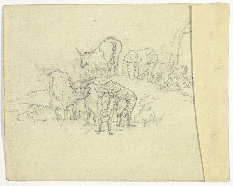 Cattle (recto); The Charlatan (verso), n.d. (recto); 1789/1843 (verso).