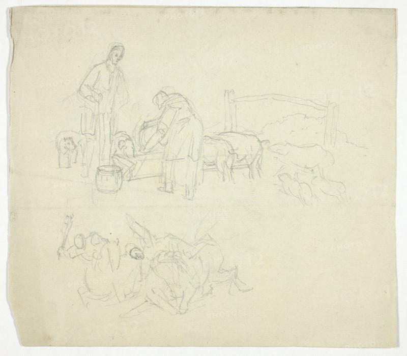 Feeding Pigs, n.d.