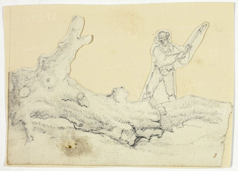 Woodsman Axing Fallen Tree.d..