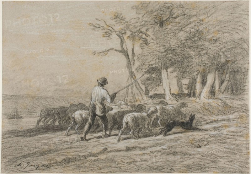 Shepherd and his Flock, n.d.