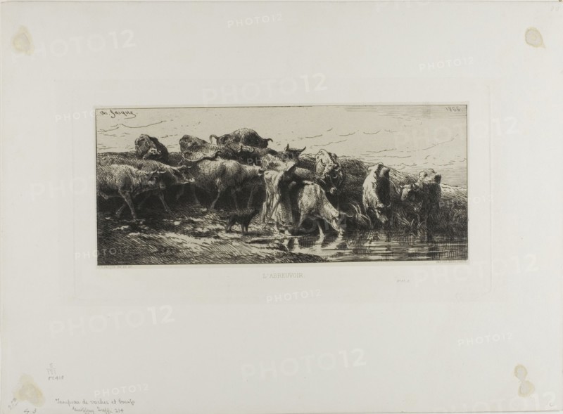 Cows Drinking, 1866.