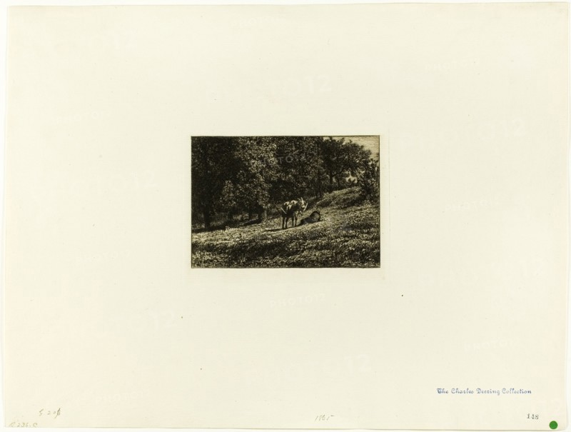 Orchard, c. 1864.