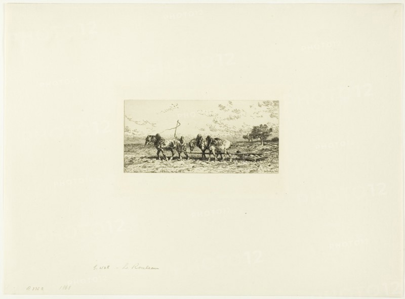 The Roller, 1868.