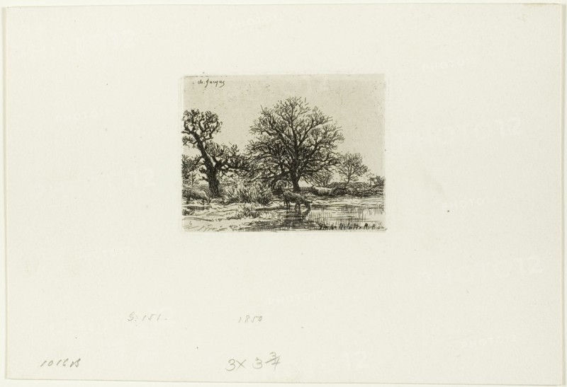 Trees and Cows near a Pond, 1850.