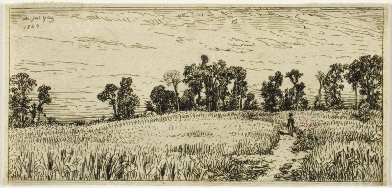 Wheat Field, 1844.