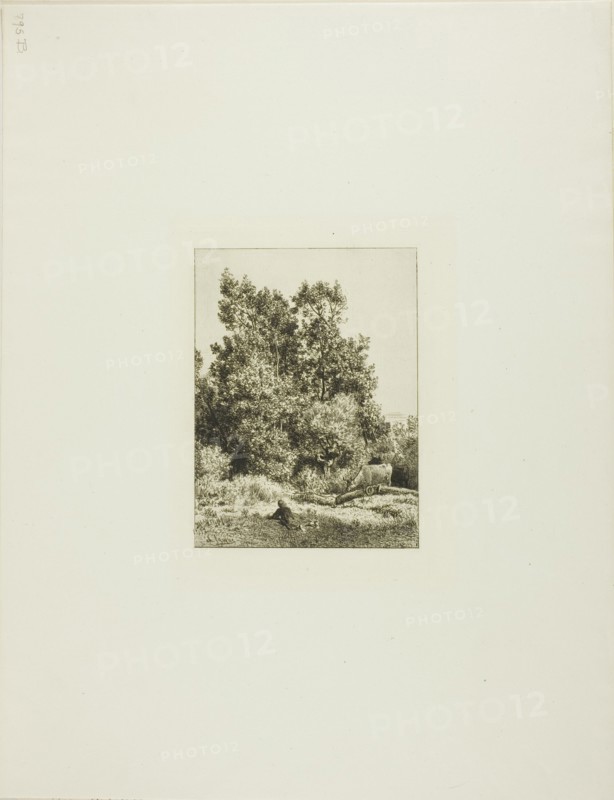 Landscape with Cowherd, c. 1865.