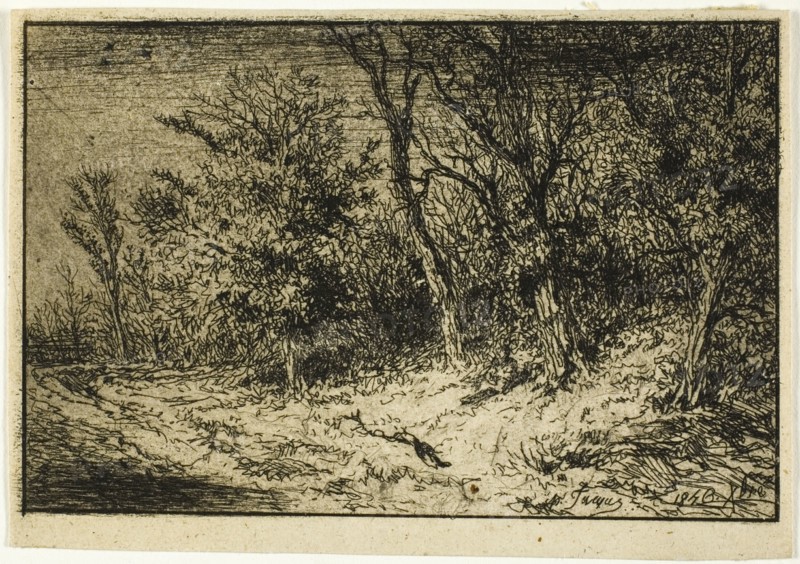 Road at the Edge of a Wood, 1846.
