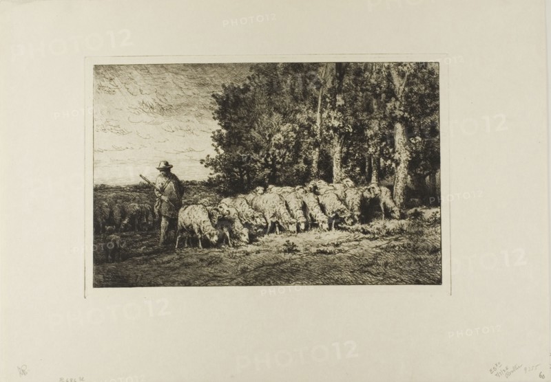 Flock of Sheep at the Edge of a Wood, 1877.