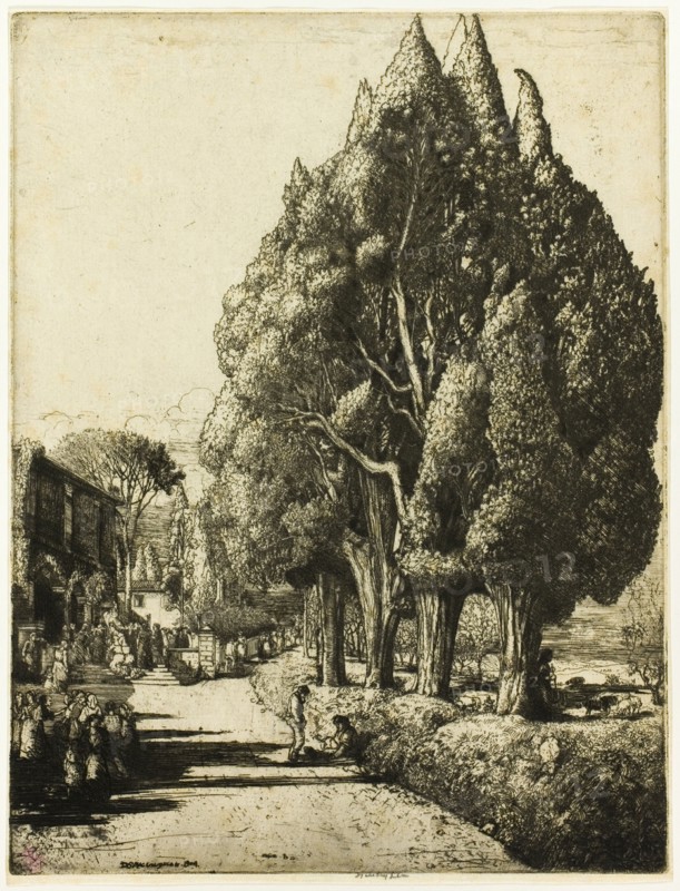 The Cypress Grove, 1904.