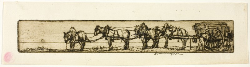 Draught Horses, 1906.