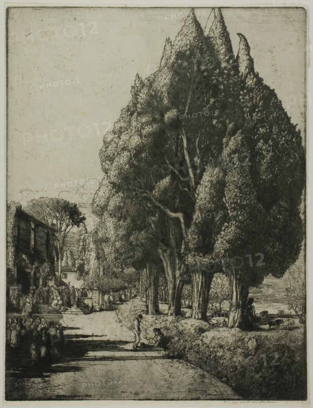 The Cypress Grove, 1904.