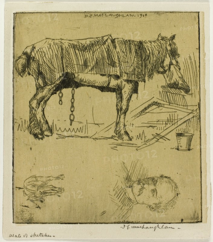 Plate of Sketches, 1902.