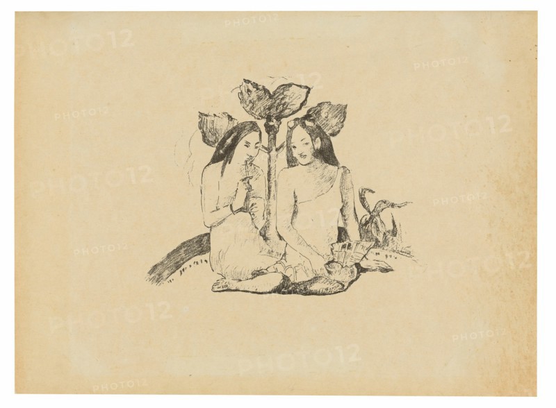 Two Maori Women Squatting Down, 1894/95, published Feb. 3, 1895.