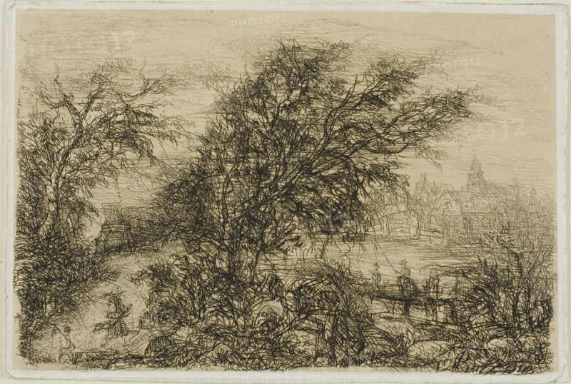 Trees Bending in the Wind, n.d.