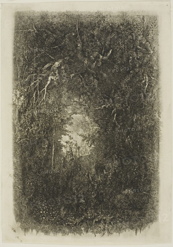 Clearing in the Forest, 1880.