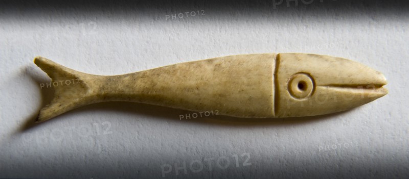 Detail of a fish-shaped bone gaming piece from Portchester Castle, Fareham, Hampshire, 2009. Creator: Derek Kendall.