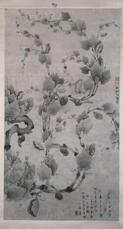 Squirrels on a pine, 1849 or 1909. Creator: Ruan Linchuan.