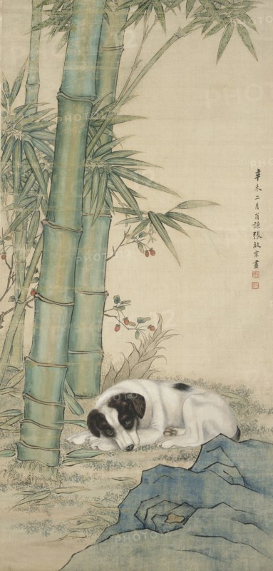 Dog beneath bamboo, 1931. Creator: Zhang Qizong.