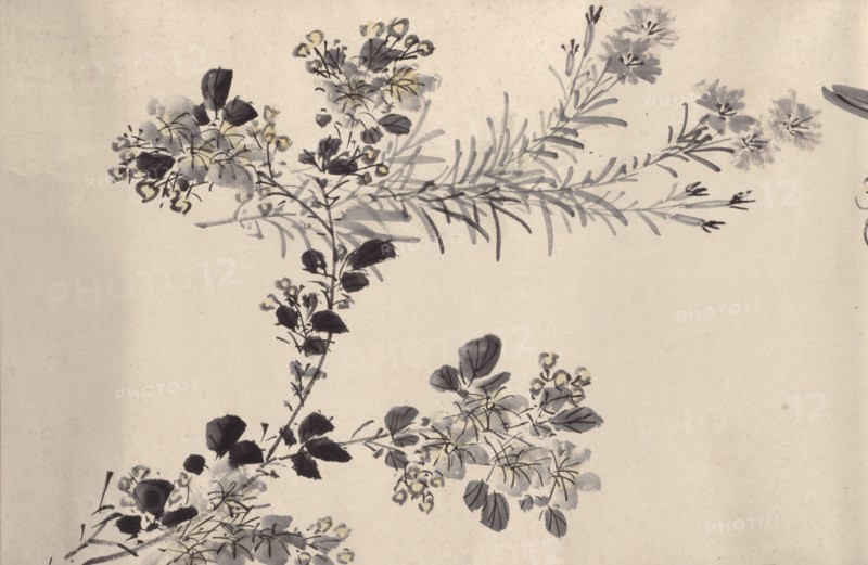 Flowering plants of the four seasons, 1842. Creator: Oda Kaisen.