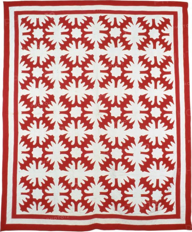 Bedcover (Star and Oak Leave Motif), Wisconsin, 1880's. Creator: Unknown.